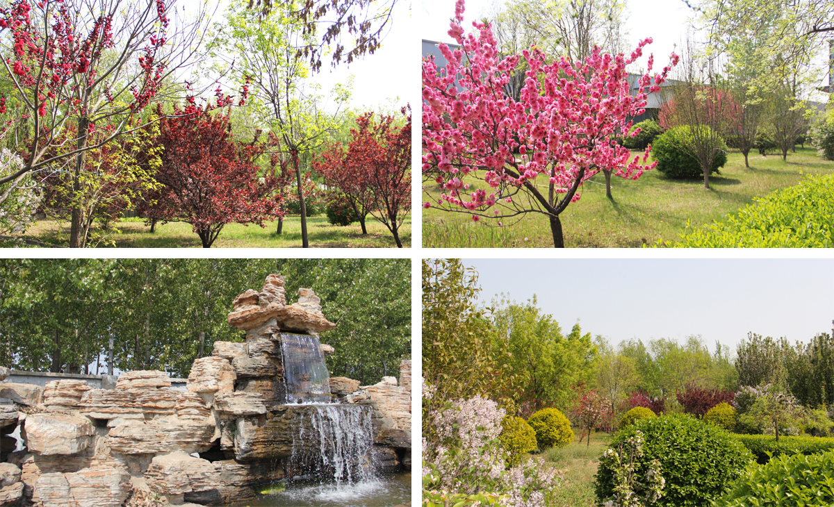 香港六宝典最新版开奖